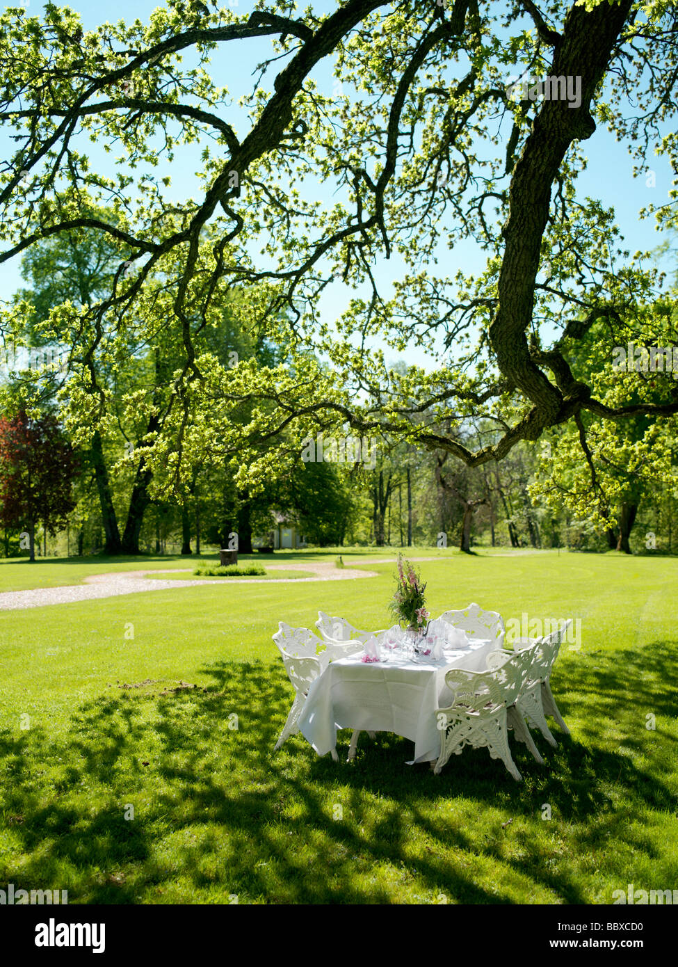 Un conjunto mesa bajo un árbol en Suecia Fotografía de stock - Alamy