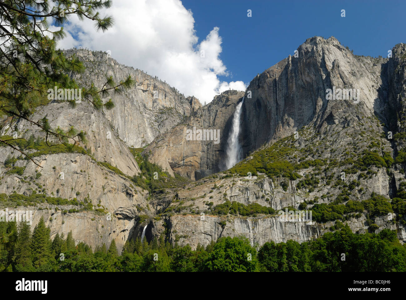 Cataratas de Yosemite en primavera Foto de stock