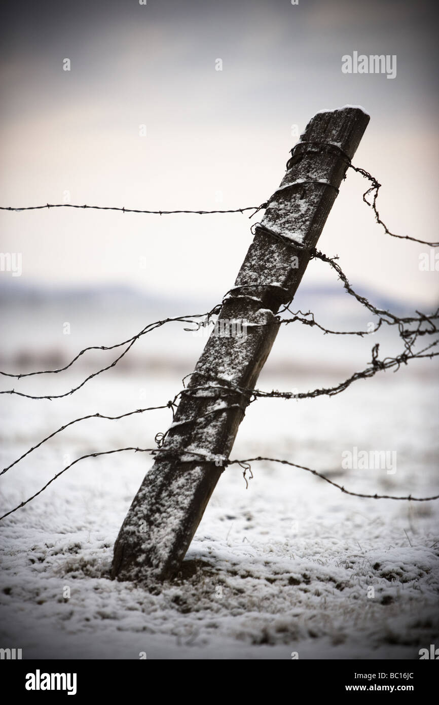 Antiguo vallado y alambre de púas en la nieve. Foto de stock