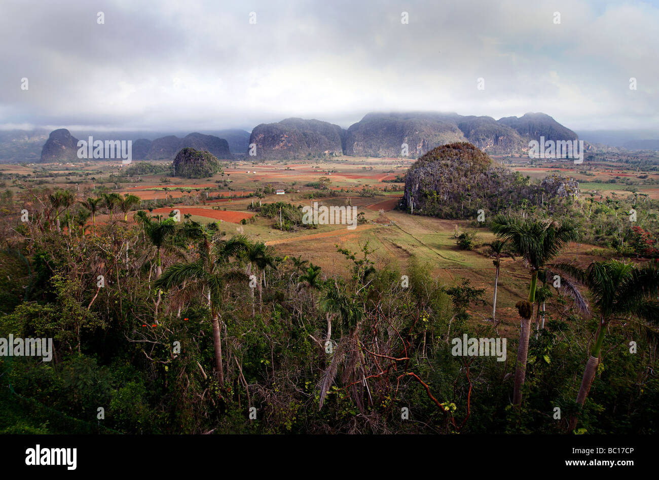 Vista a través de los landscpae de valle de Viñales, provincia de Pinar del Río, Cuba Foto de stock