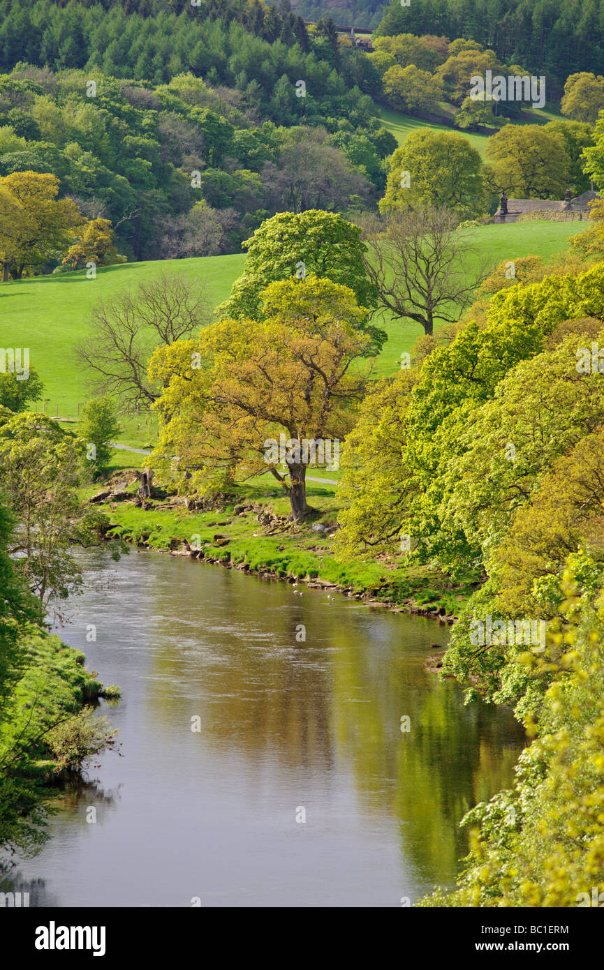 Río Wharfe corriendo a través de los valles de Yorkshire, cerca de Boulton Priorato Foto de stock