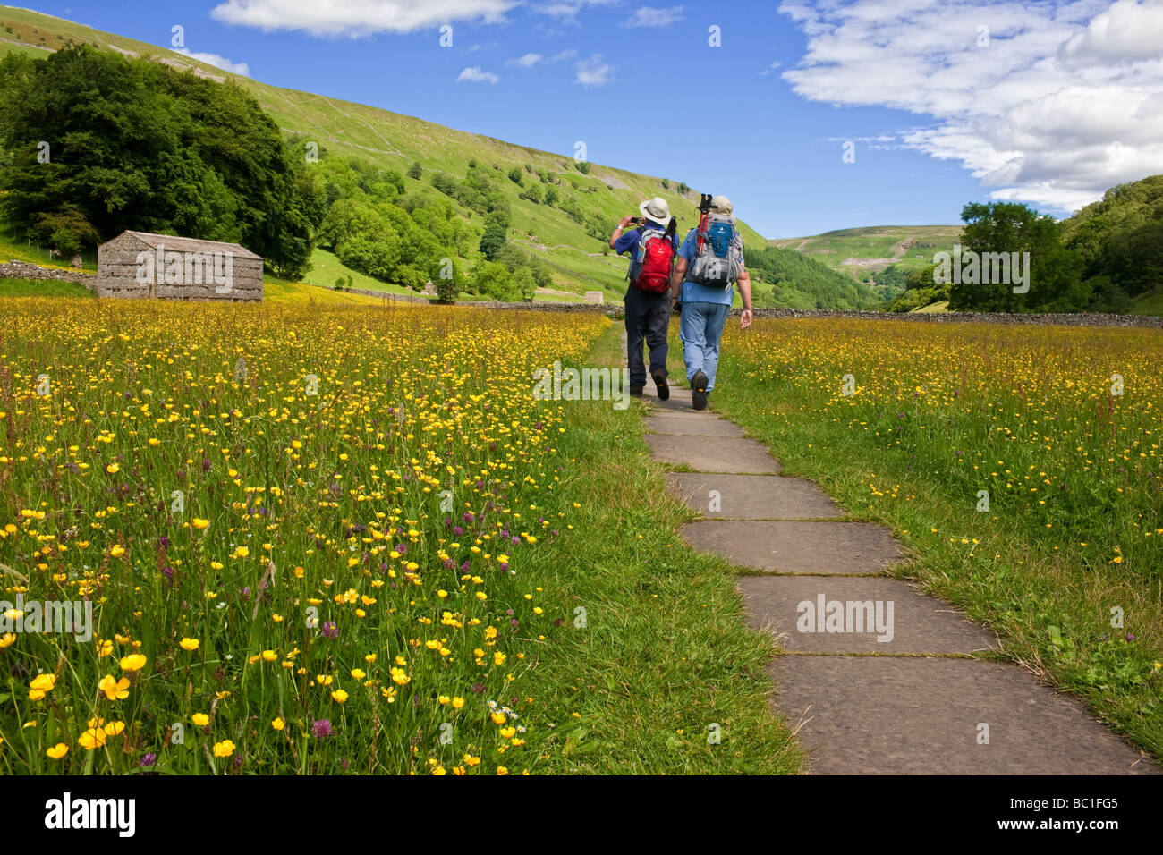 Caminar a través de los prados de heno de verano lleno de flores en Swaledale Muker, en los valles de Yorkshire Foto de stock