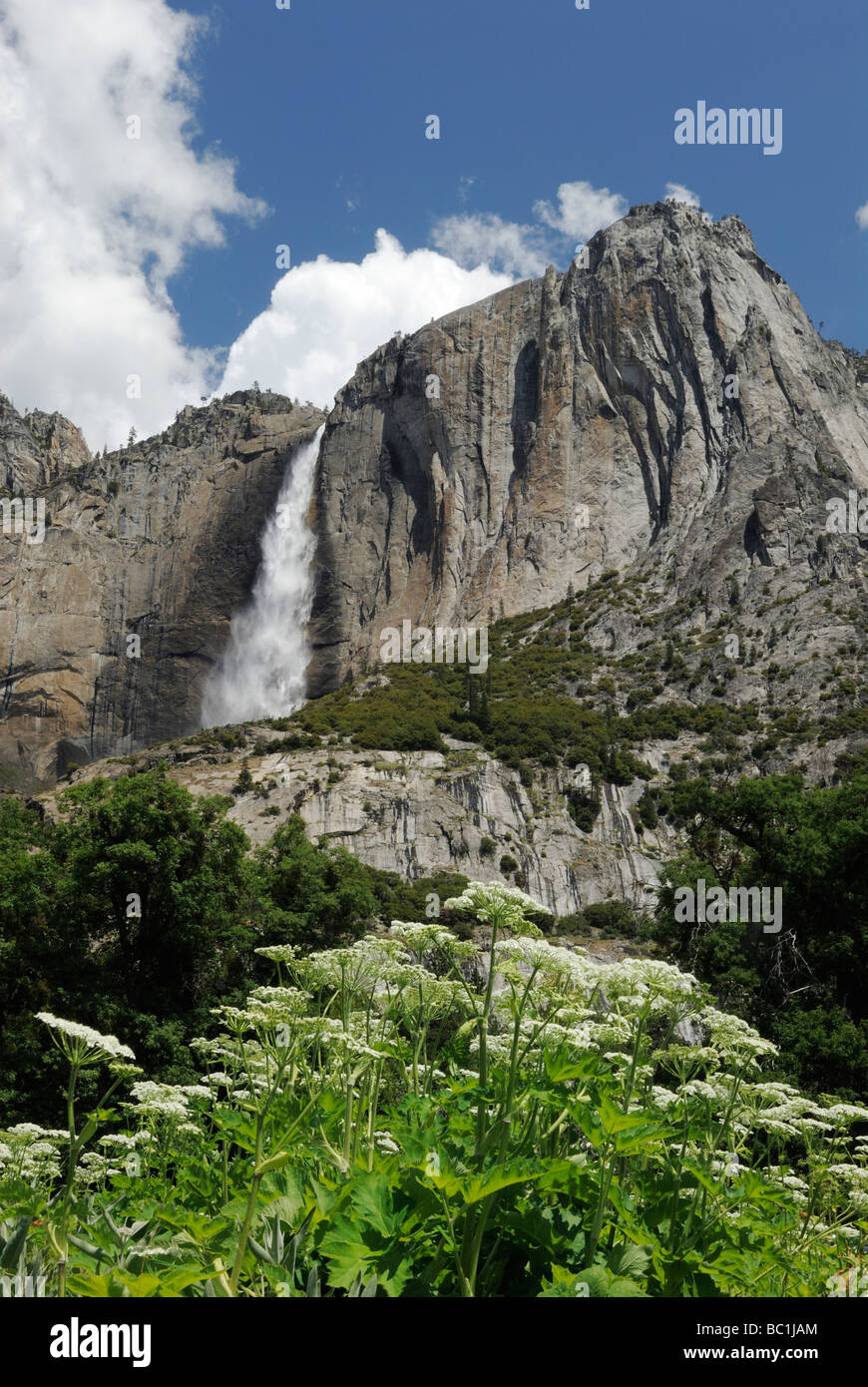 Cataratas de Yosemite en primavera Foto de stock