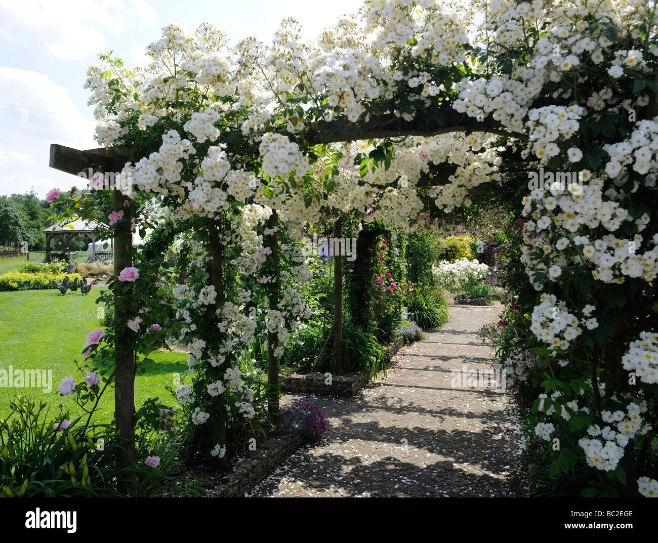 Jardín Inglés con rosas en una pérgola, en Somerset Fotografía de stock