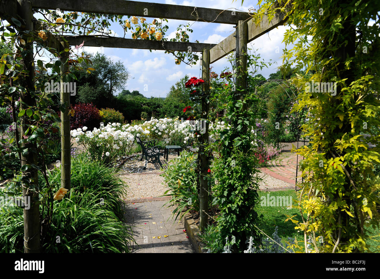 Jardín Inglés con rosas en una pérgola, en Somerset Fotografía de stock