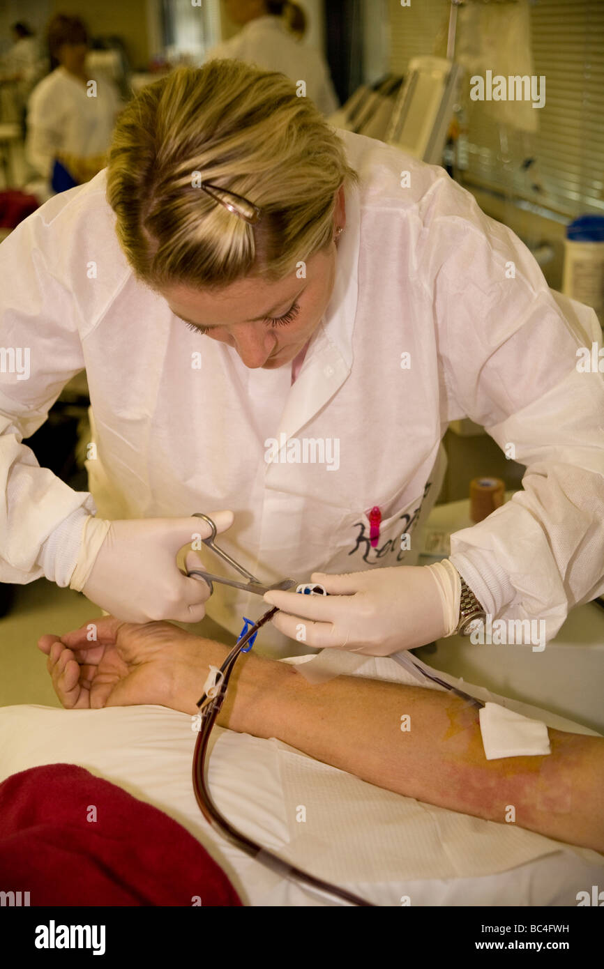 Cruz Roja de California técnico con sangre de donantes de plaquetas. Señor © Myrleen Pearson Foto de stock