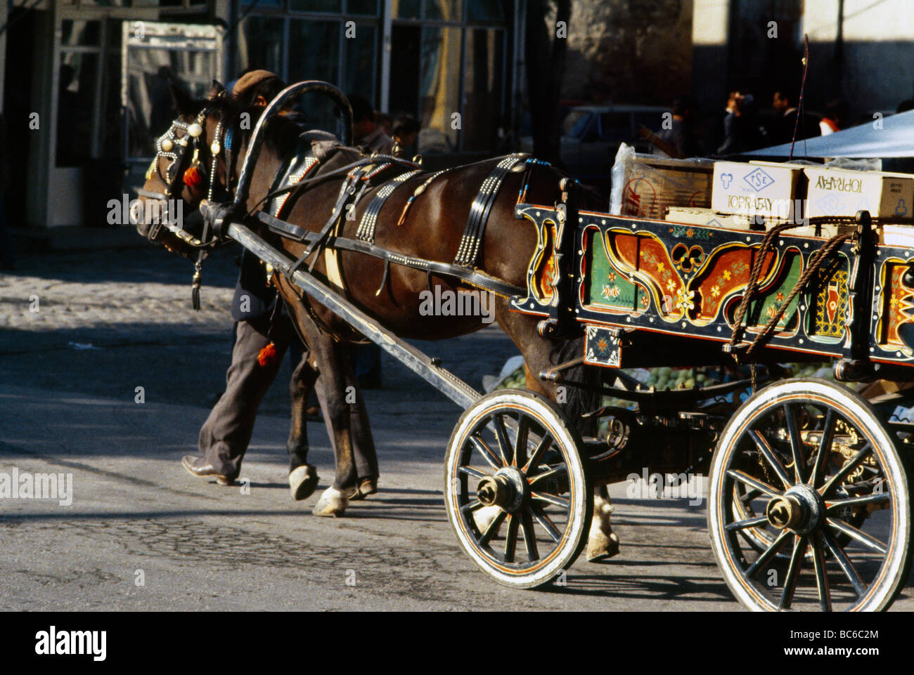 En Edirne caballo y carro Foto de stock