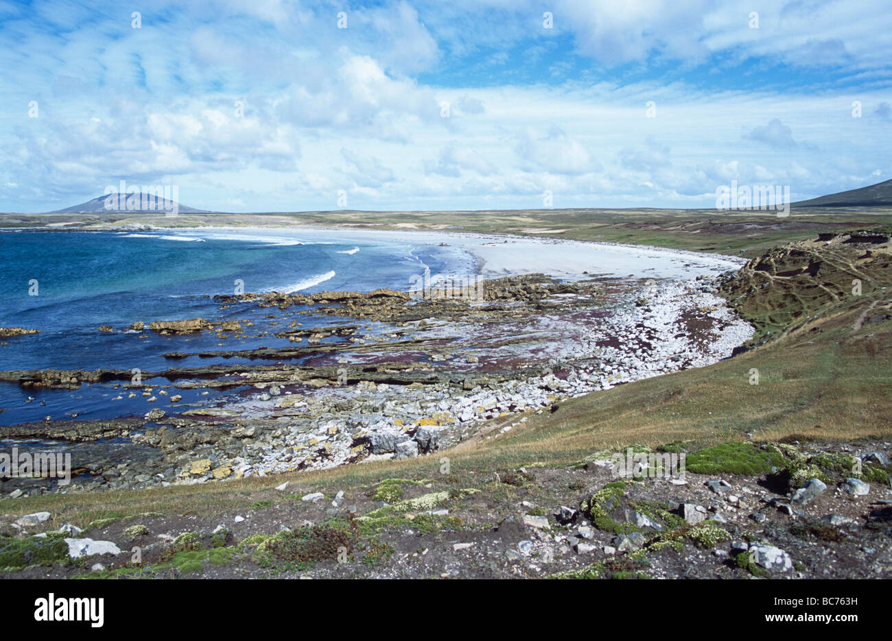 Playas de las malvinas fotografías e imágenes de alta resolución Alamy