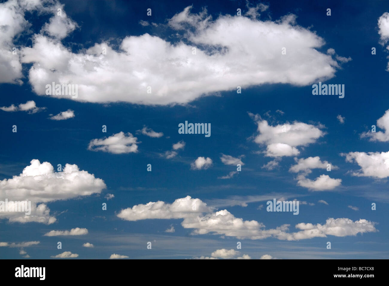 Cielo azul y las nubes cúmulos en Wyoming, EE.UU. Foto de stock