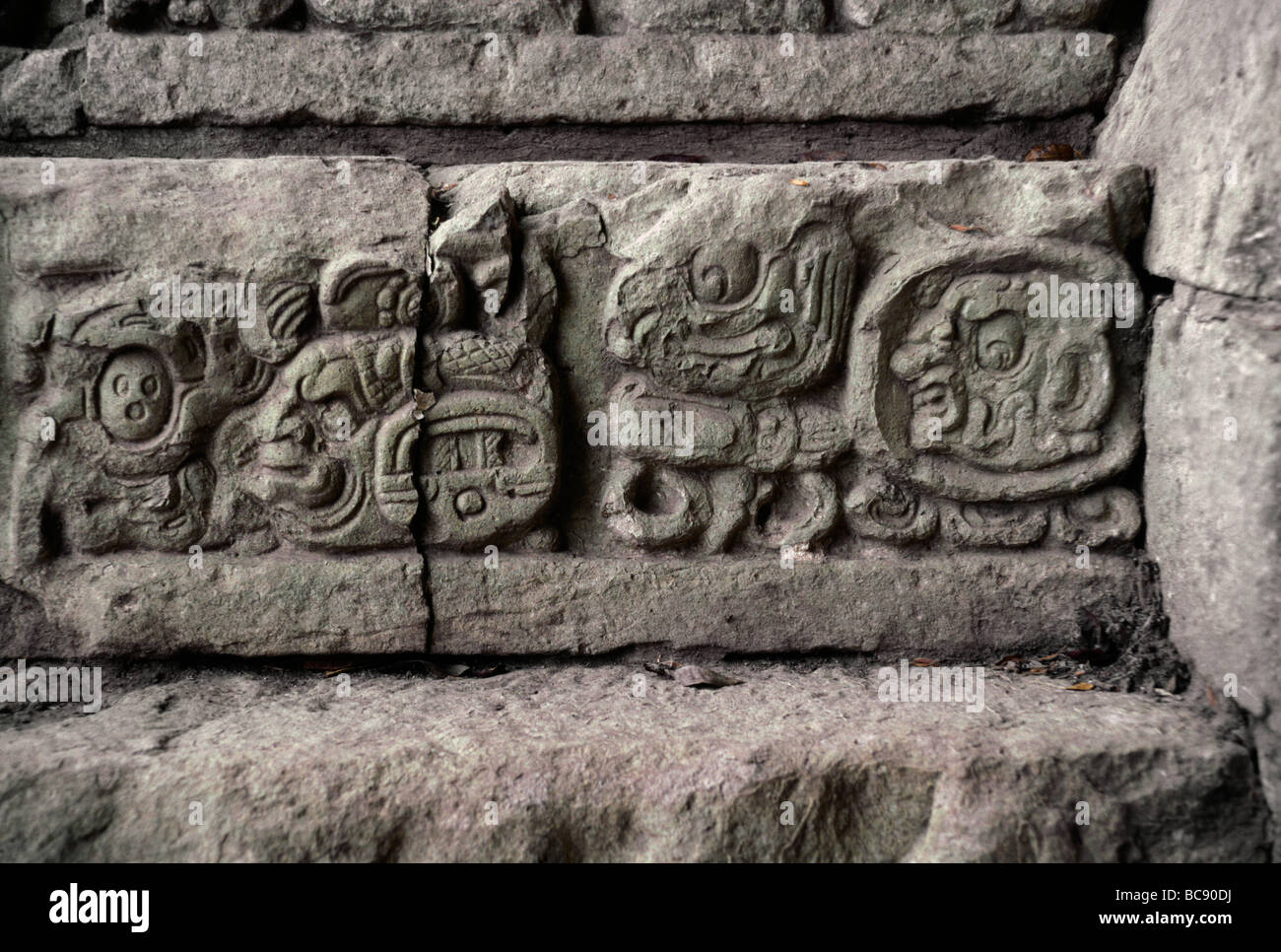 Glifos mayas dicen la historia cultural en la Escalera Jeroglífica de estructura 26 AD 755 Copan Ruinas HONDURAS Foto de stock