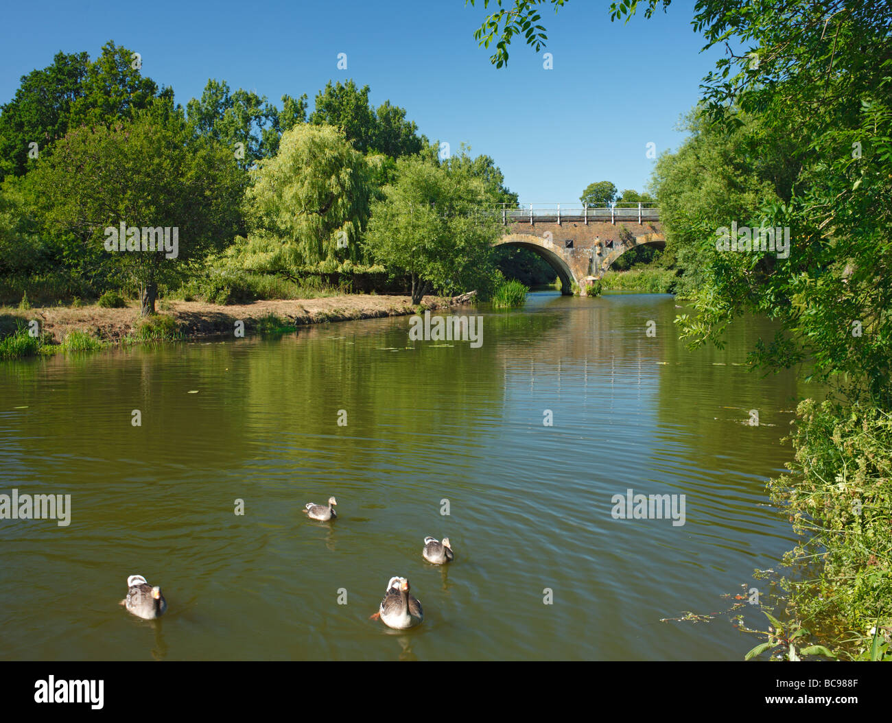 Viaducto Ferroviario sobre el río Medway. Haysden Country Park, Tonbridge, Kent, Inglaterra, Reino Unido. Foto de stock