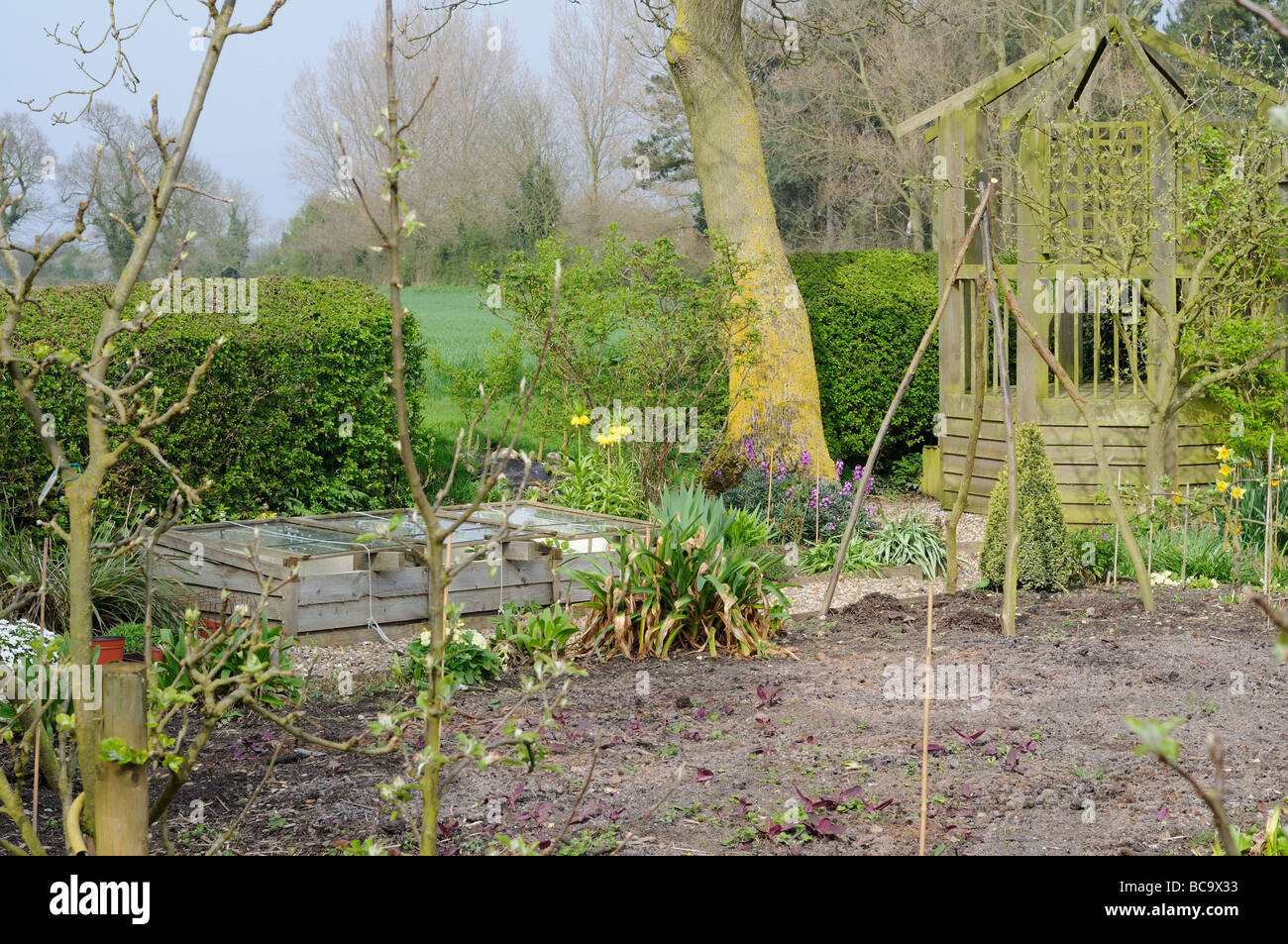 Vista general de una primavera jardín con cenador cajonera fría, árboles frutales y campo lejano Reino Unido Abril Foto de stock