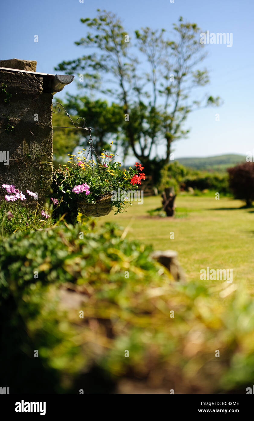 English country garden, Fraddam, Cornwall Foto de stock