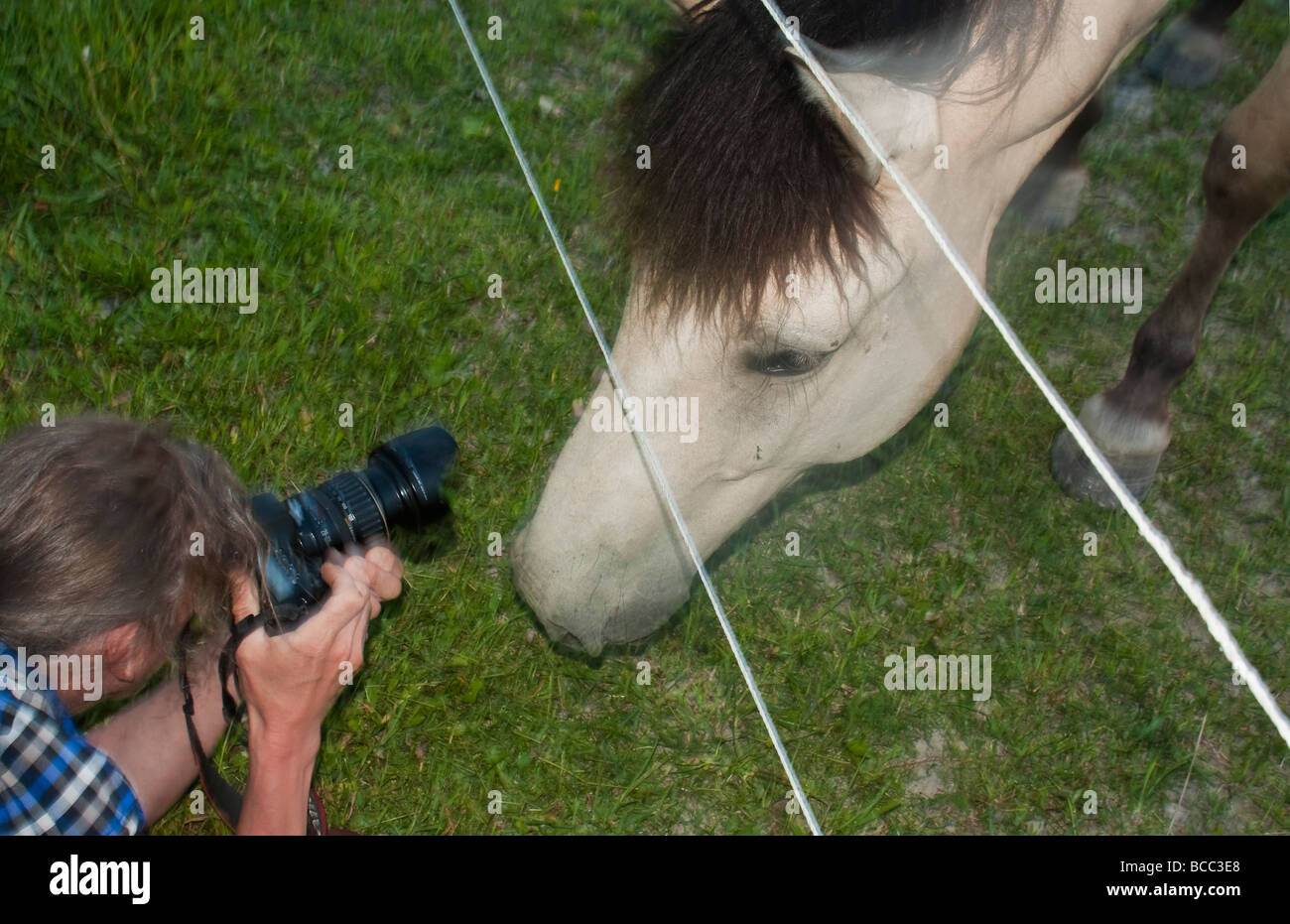 Fotógrafo fotografiando a caballo 2009 Fotografía de stock - Alamy
