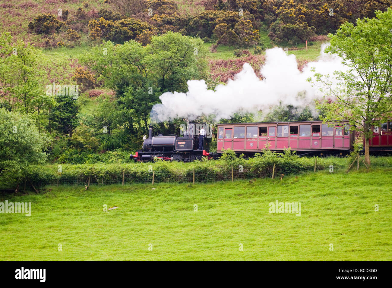 Locomotora de vapor no 1 "Talyllyn' tirando de un tren en la Talyllyn Railway cerca Dolgoch, Gwynedd, Gales Foto de stock