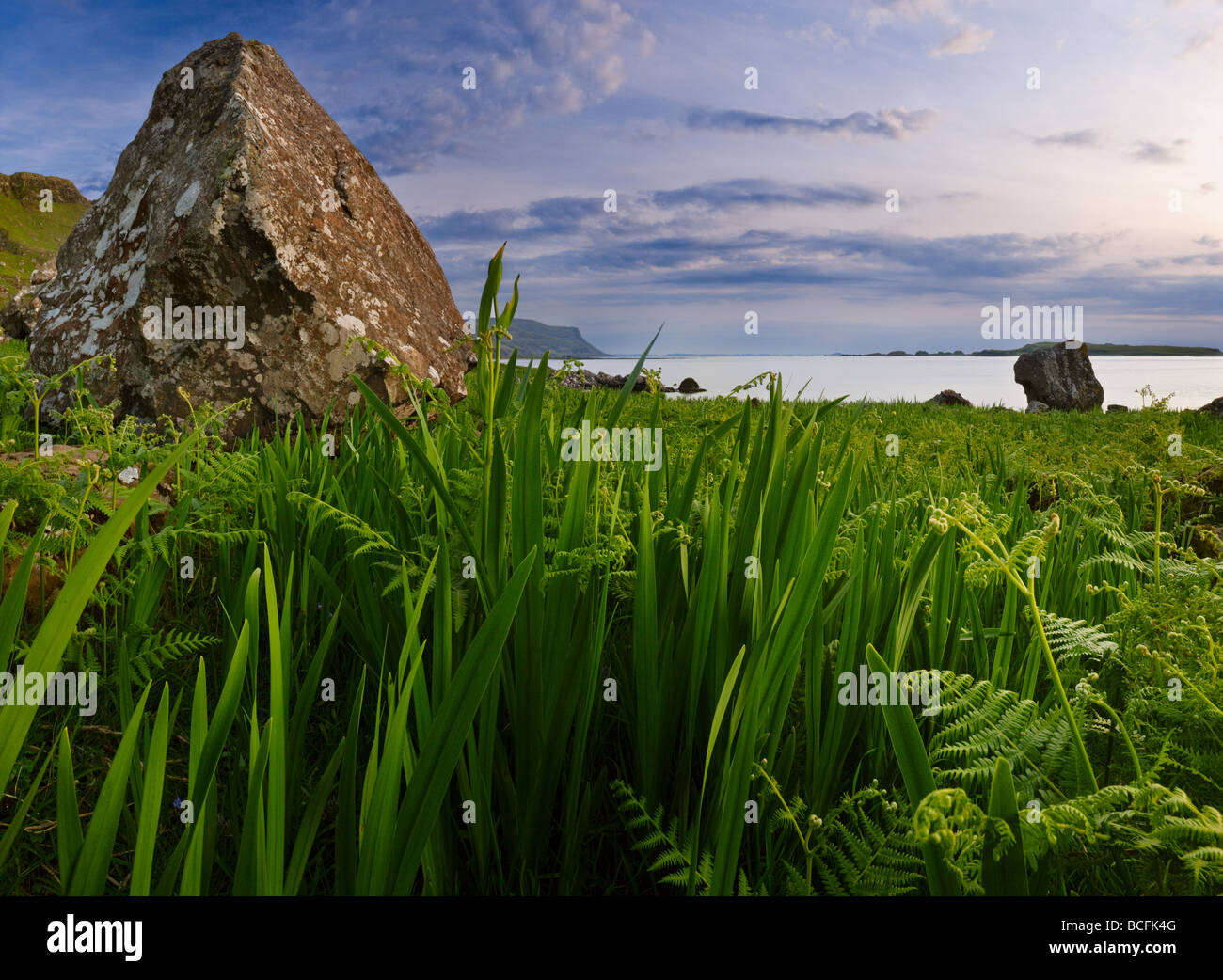 Isle Of Mull, Escocia Foto de stock