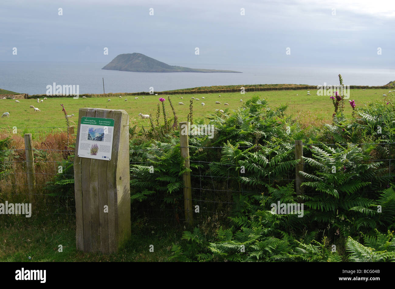 La Isla Bardsey desde el continente con placa info explicando un faro de luz nº 2740 Foto de stock