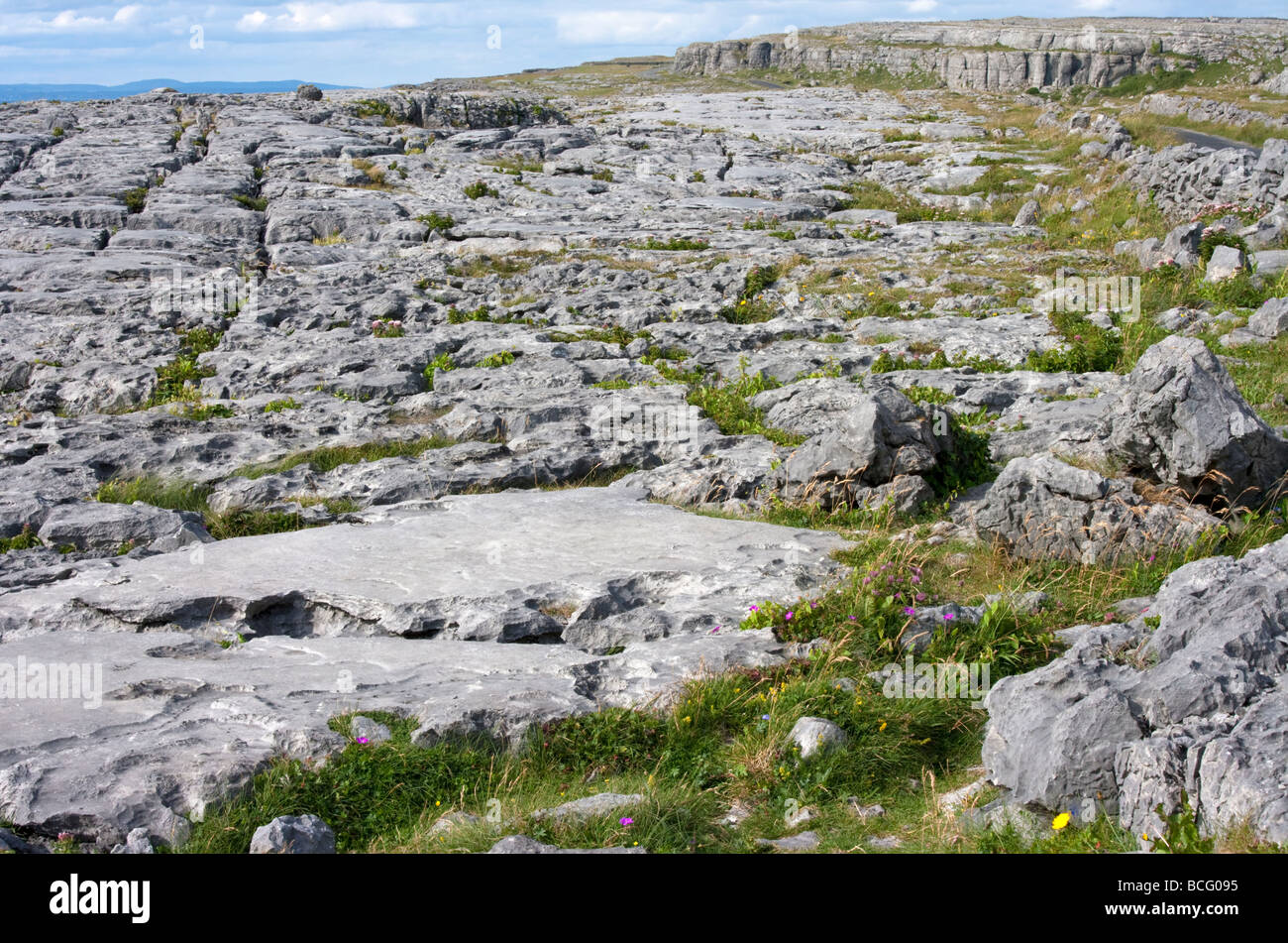 Formaciones de roca caliza, el Burren, en el condado de Clare, Irlanda Foto de stock