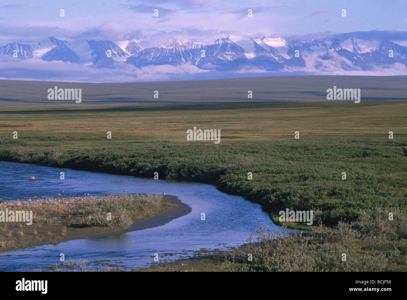 Llanura ártica fotografías e imágenes de alta resolución - Página 9 - Alamy Llanura ártica fotografías e imágenes de alta resolución - Página 9 - Alamy
