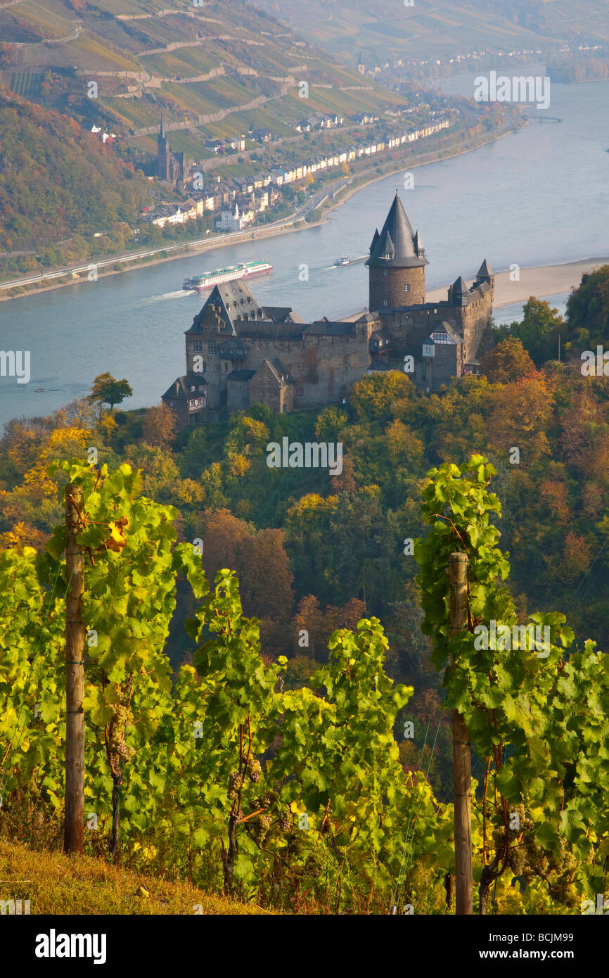Burg Stahleck & Viña, Bacharach, Valle del Rhin, Alemania, RF Foto de stock