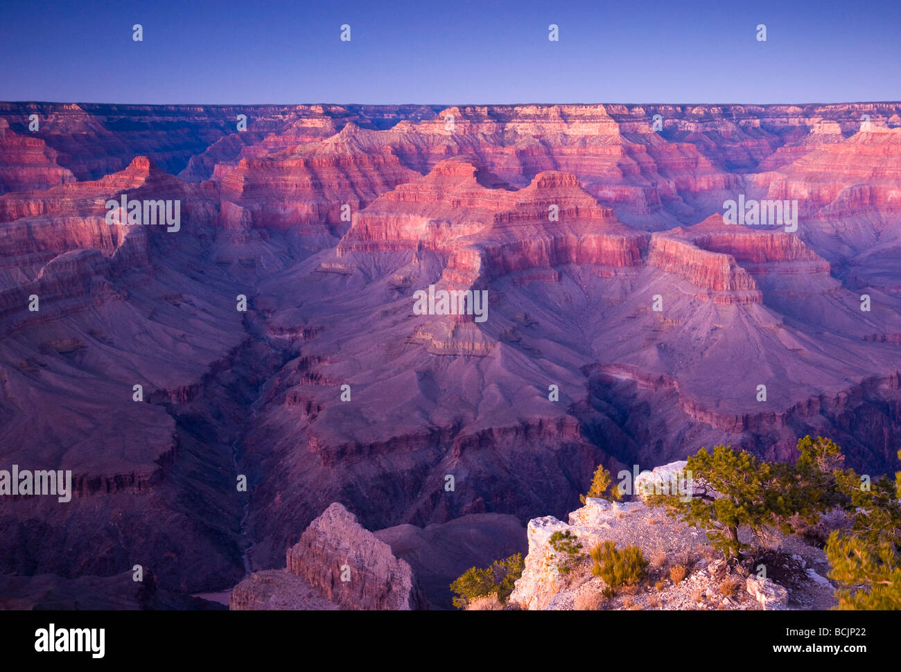 Ee.Uu., Arizona, Grand Canyon, desde el punto de Pima Foto de stock
