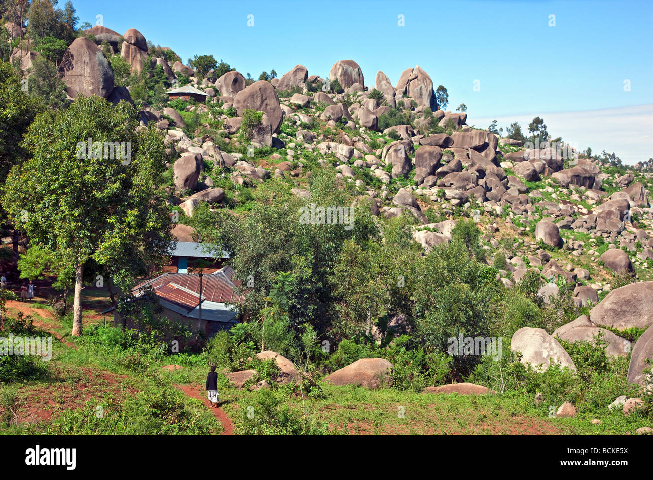 Kenya. Planteles enclavado entre gigantescas rocas de granito en el oeste de Kenia. Foto de stock