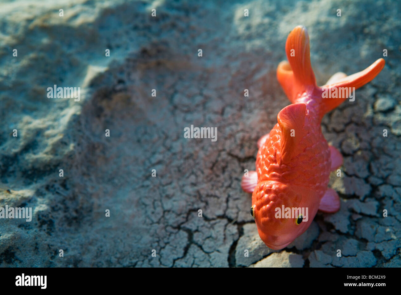 Toy goldfish sobre superficie agrietada Foto de stock