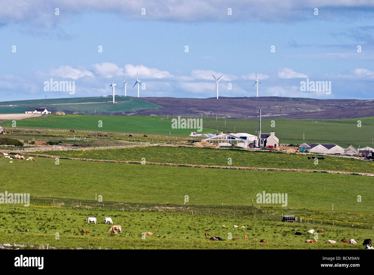 Parque eólico de Burgar Hill en la isla principal de las Islas Orcadas en Escocia Foto de stock
