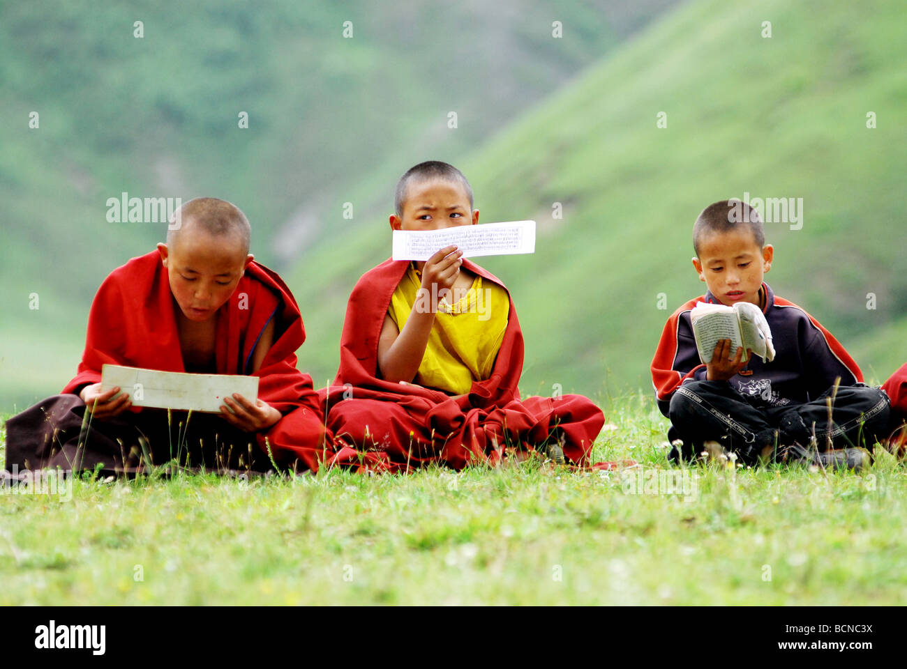 Boy lamas leyendo las escrituras tibetanas tradicionales en el Budismo Institute, Gao'er templo, Xinduqiao, Kangding, Tibetano Garzê Foto de stock