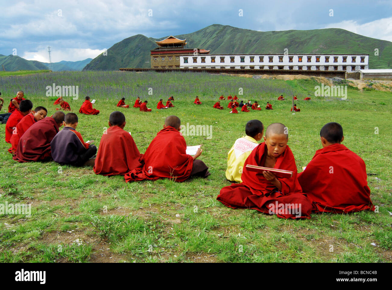Boy lamas leyendo las escrituras tibetanas tradicionales en el Budismo Institute, Gao'er templo, Xinduqiao, Kangding, Tibetano Garzê Foto de stock