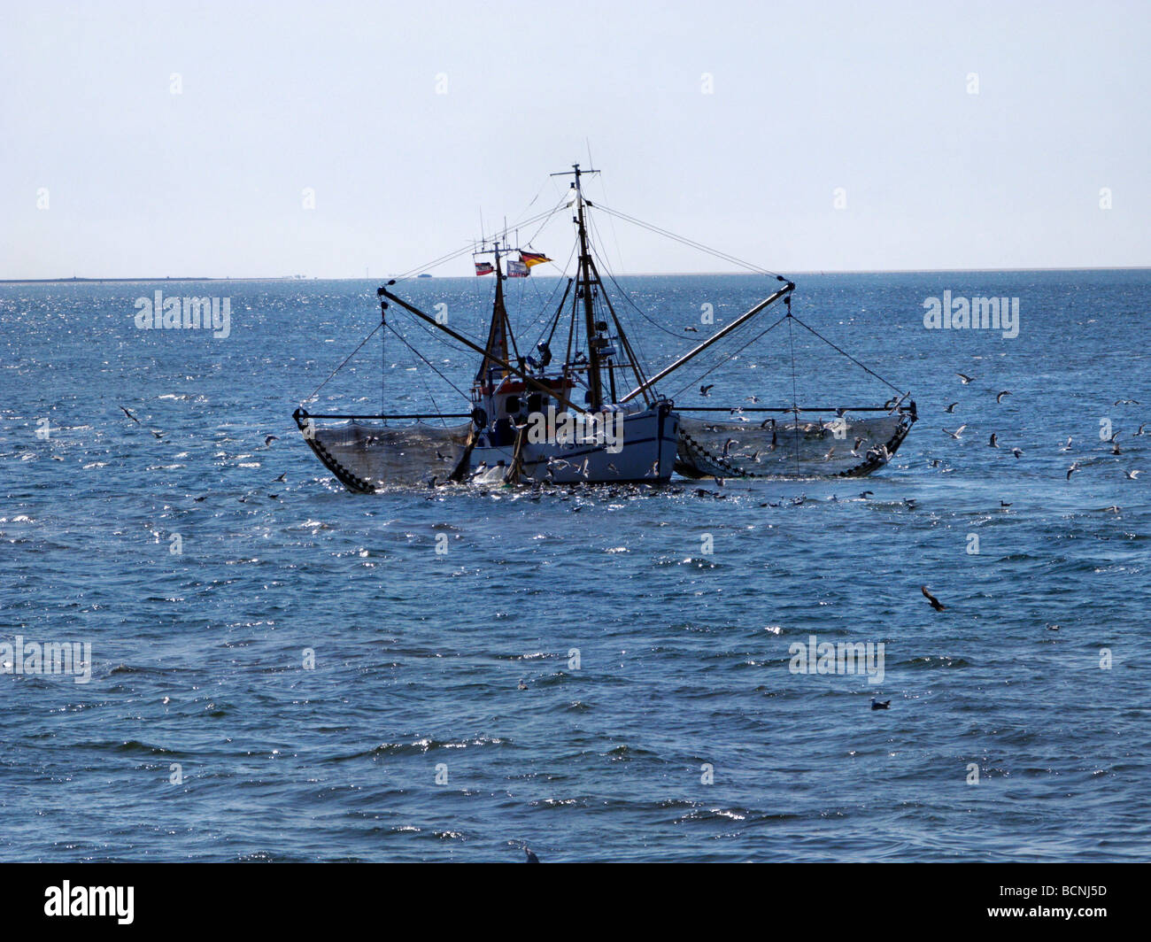 La pesca de arrastre de camarones que operan en el Mar del Norte frente a las islas de Frisia del norte de Alemania Foto de stock