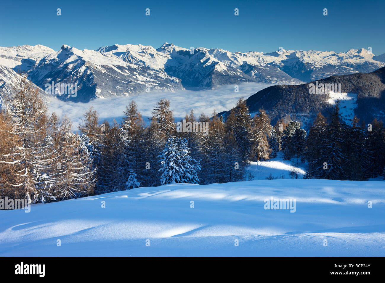 Un snowfalll fresca en las laderas por encima de la aldea alpina de La Tzoumas,con el valle del Ródano, más allá de la región de Valais, Suiza Foto de stock