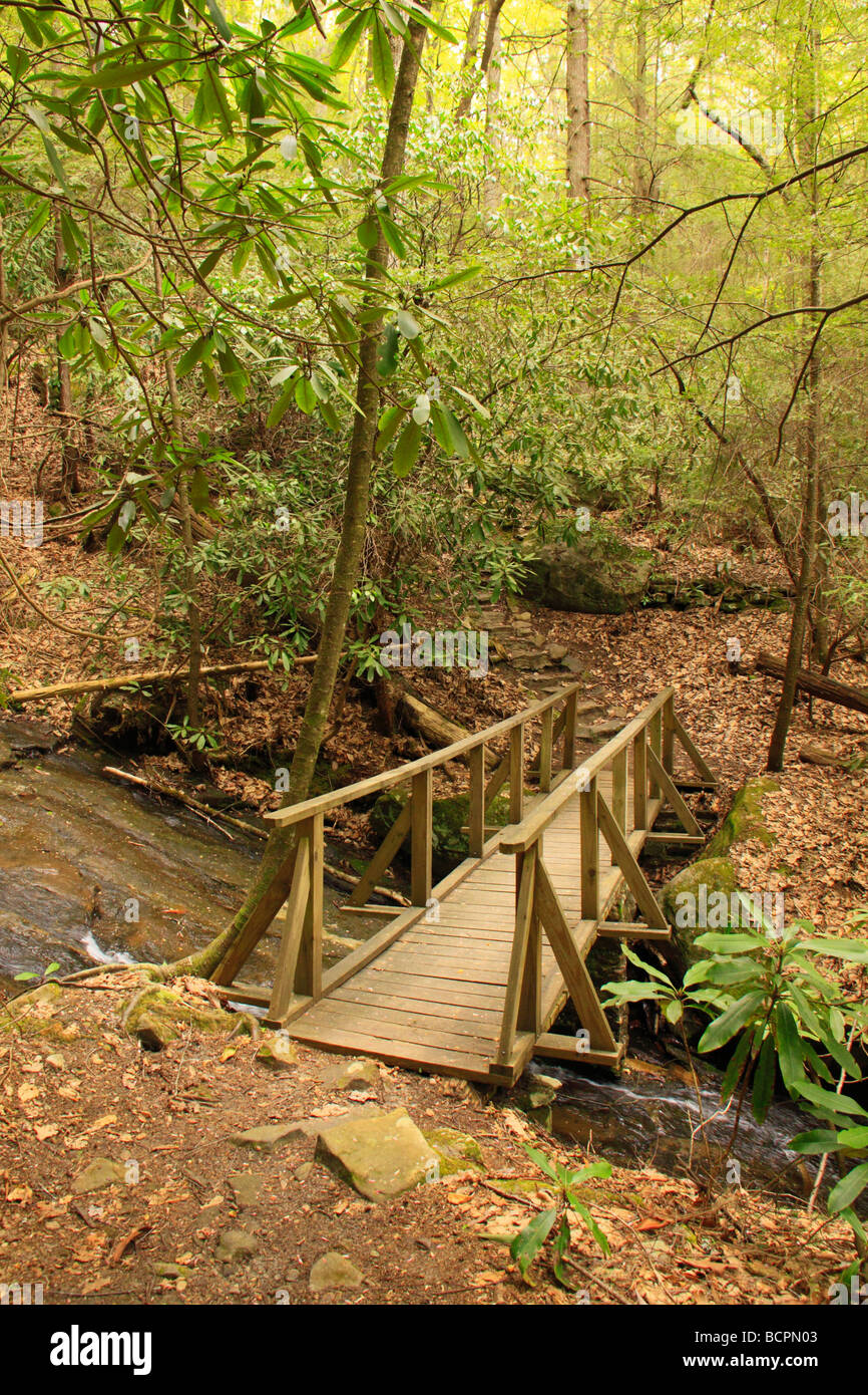 El puente del arroyo que cruza la cicuta Jardín preservar y Pine Trail Mountain State Resort Park hotel Pineville Kentucky Foto de stock