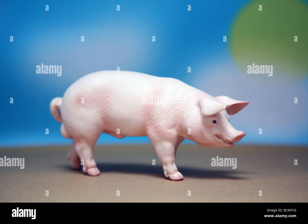 Modelo de cerdo Foto de stock