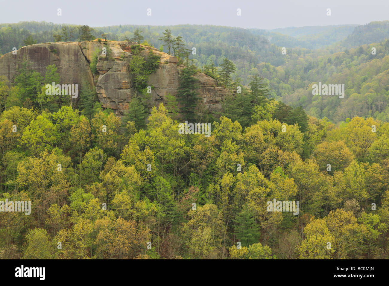 Vista desde la parte superior de la Chimenea Rock Red River Gorge zona geológica Slade Kentucky Foto de stock