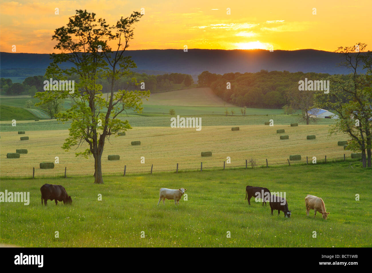 Atardecer en granja cerca de Middlebrook Shenandoah Valley Virginia Foto de stock