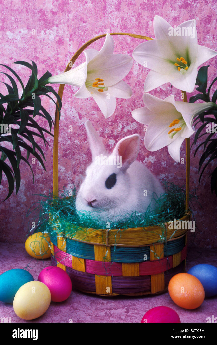 Conejito de Pascua en la cesta Foto de stock