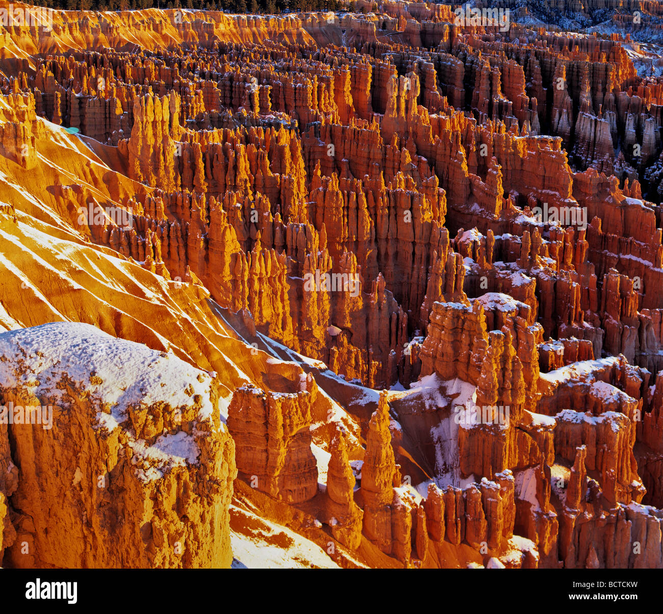 Anfiteatro, Bryce Canyon National Park, la erosión, la nieve fresca, Utah, EE.UU. Foto de stock