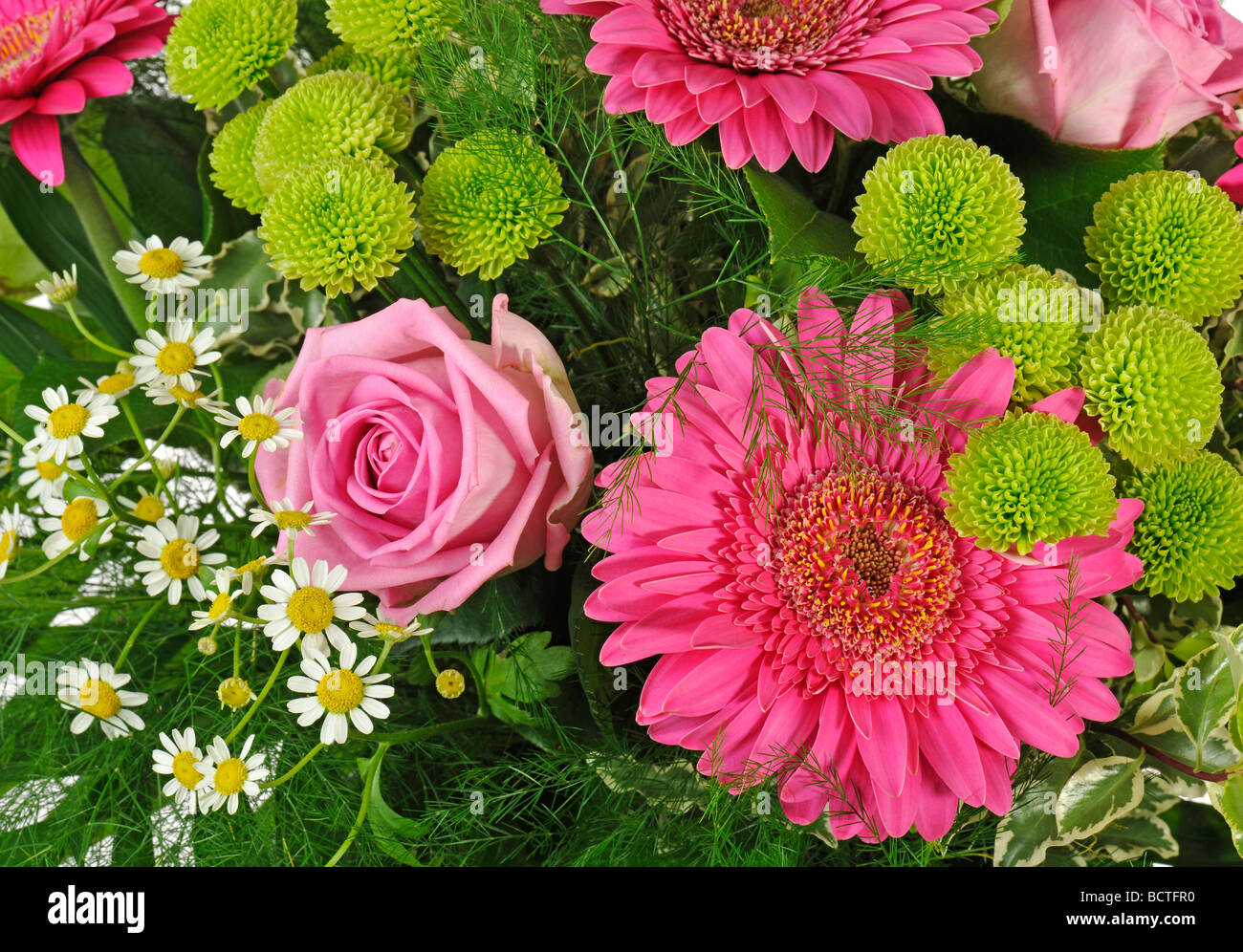 Bouquet de gerberas, rosas (Gerbera) (Rosa), y Oxeye margaritas (Leucanthemum vulgare) Foto de stock
