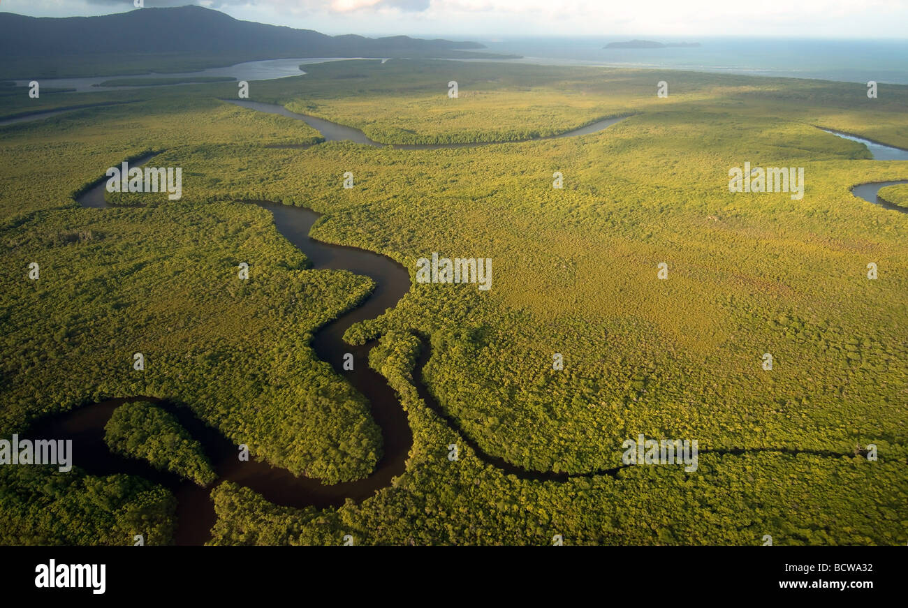 Vista aérea del bosque de manglar en la desembocadura del río Daintree, con cabo en Kimberley, en el fondo, Parque Nacional Daintree Foto de stock
