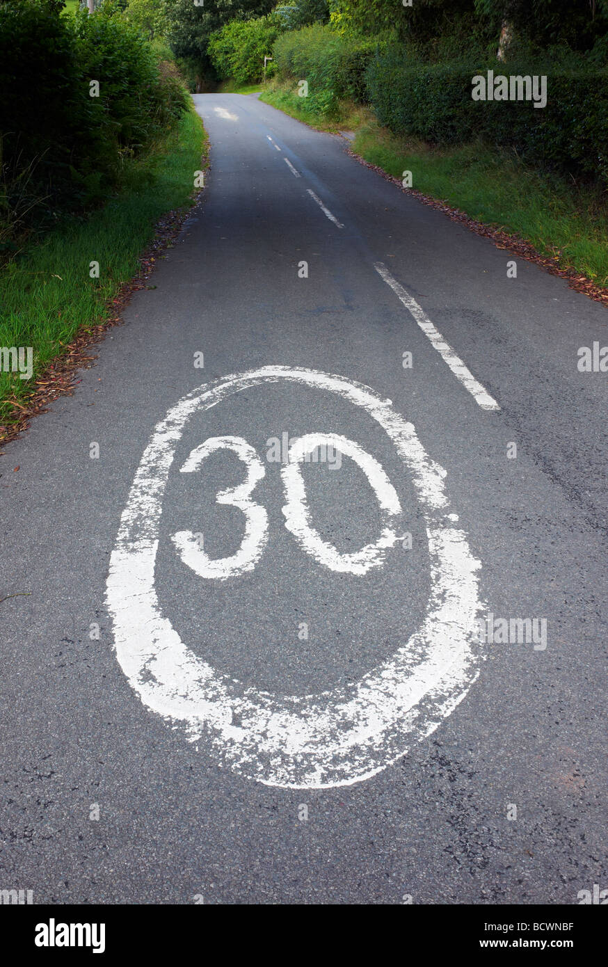 A treinta millas por hora señal de limitación de velocidad pintada en un carril del país, cerca de la aldea de Hillpool, Worcestershire, Reino Unido Foto de stock