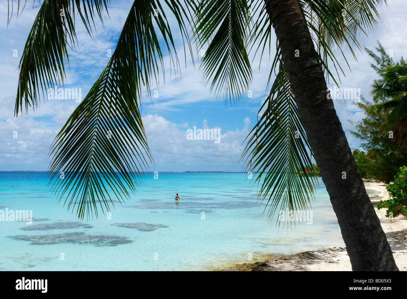 Archipiélago Tuamotu, Fakarava, Polinesia Francesa Foto de stock