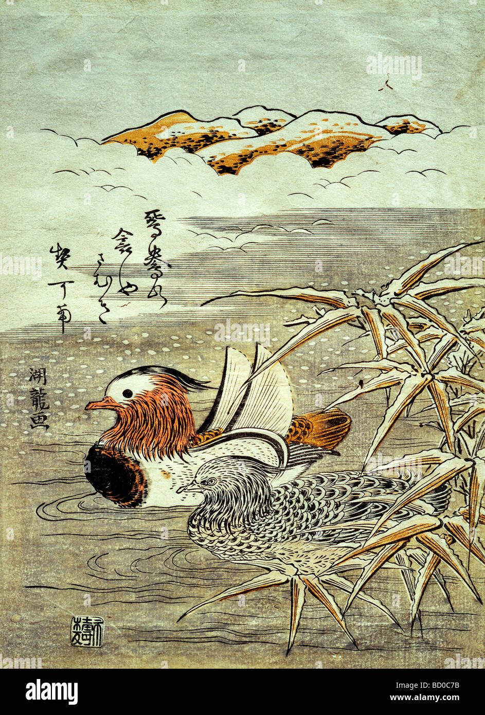 Una pareja de patos del mandarín en nieve, por Isoda Koryusai. Japón, siglo XVIII Foto de stock