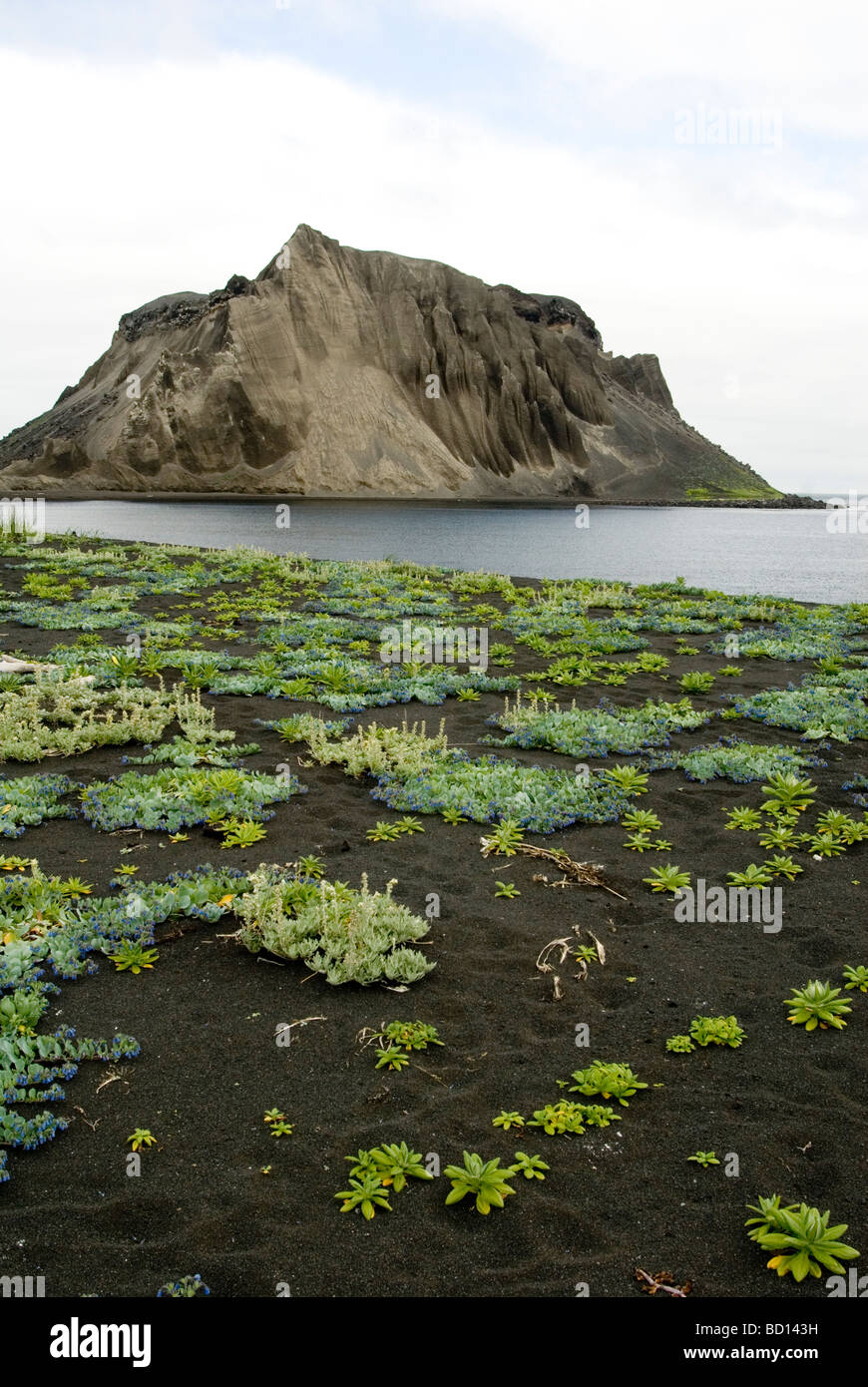 Cono de escoria parasitaria en el flanco del volcán Alaid , Atlasova Island , las islas Kuriles, Rusia Foto de stock