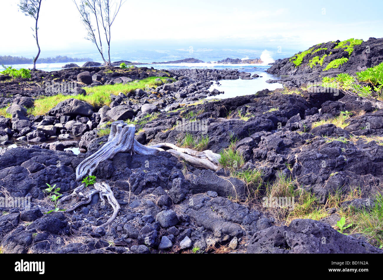 Playa de rocas de lava en Hawai Foto de stock