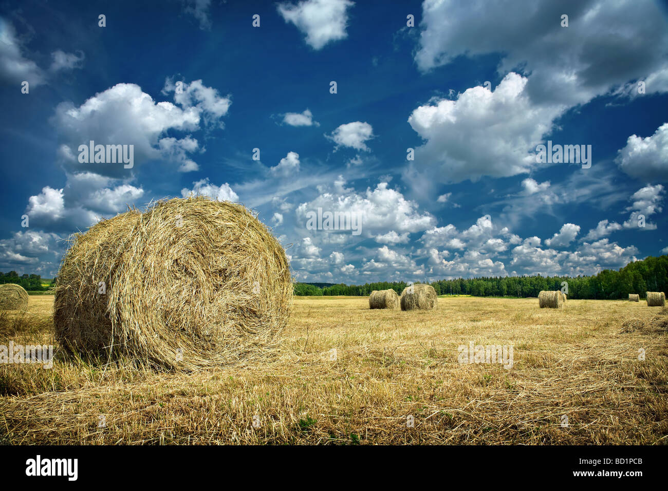 Hermoso paisaje rural de un campo con rollos de heno Foto de stock