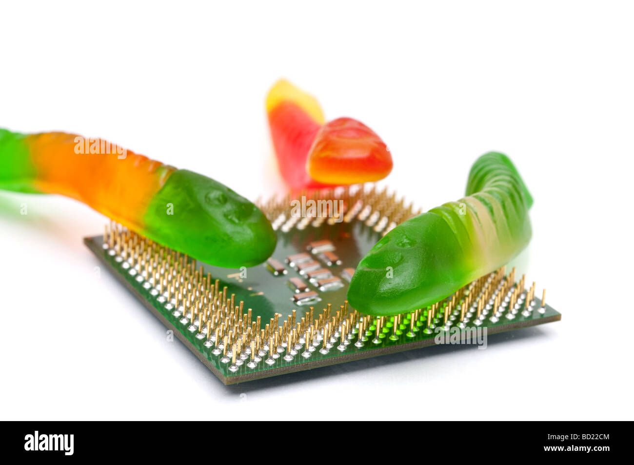 Gusanos Informáticos Fotos e Imágenes de stock - Alamy