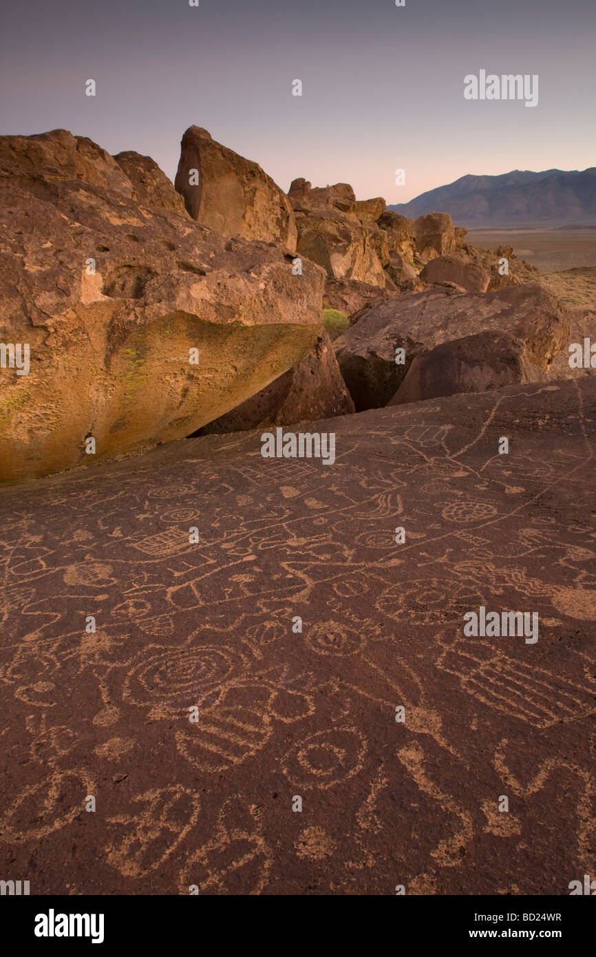 Petroglifos en una roca cerca de Bishop, California. Foto de stock