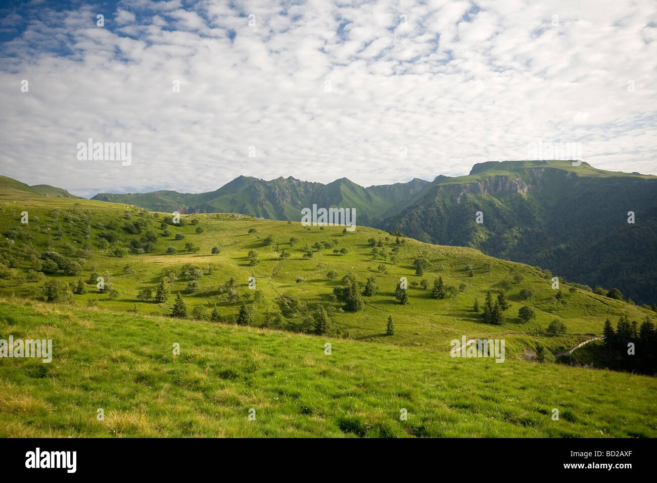 El Sancy macizo en verano (Puy de Dôme - Auvernia - Francia). Le Massif du Sancy en Eté (Puy de Dôme Auvernia - 63 - Francia). Foto de stock