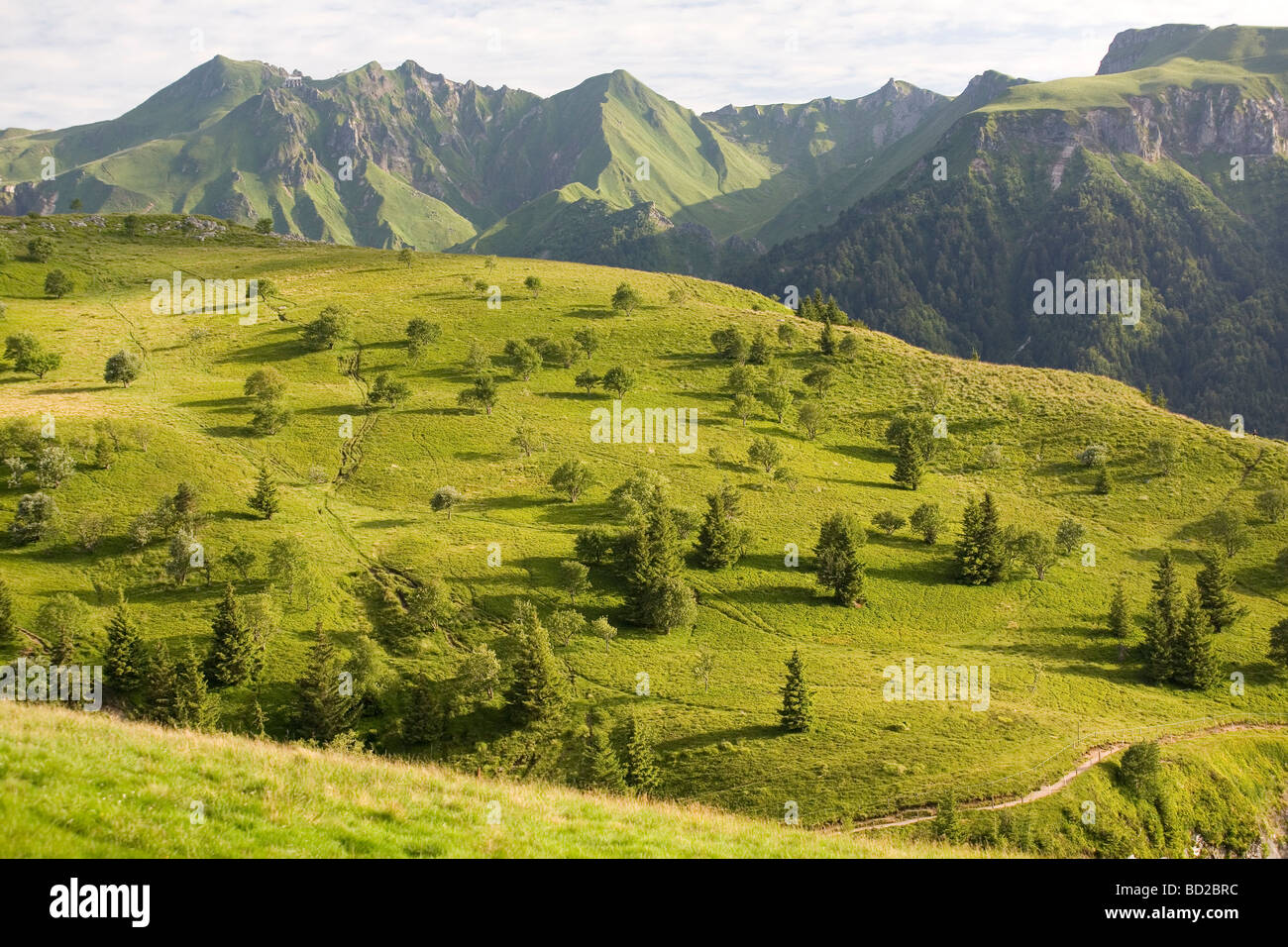 El Sancy macizo en verano (Puy de Dôme - Auvernia - Francia). Le Massif du Sancy en Eté (Puy de Dôme Auvernia - 63 - Francia). Foto de stock